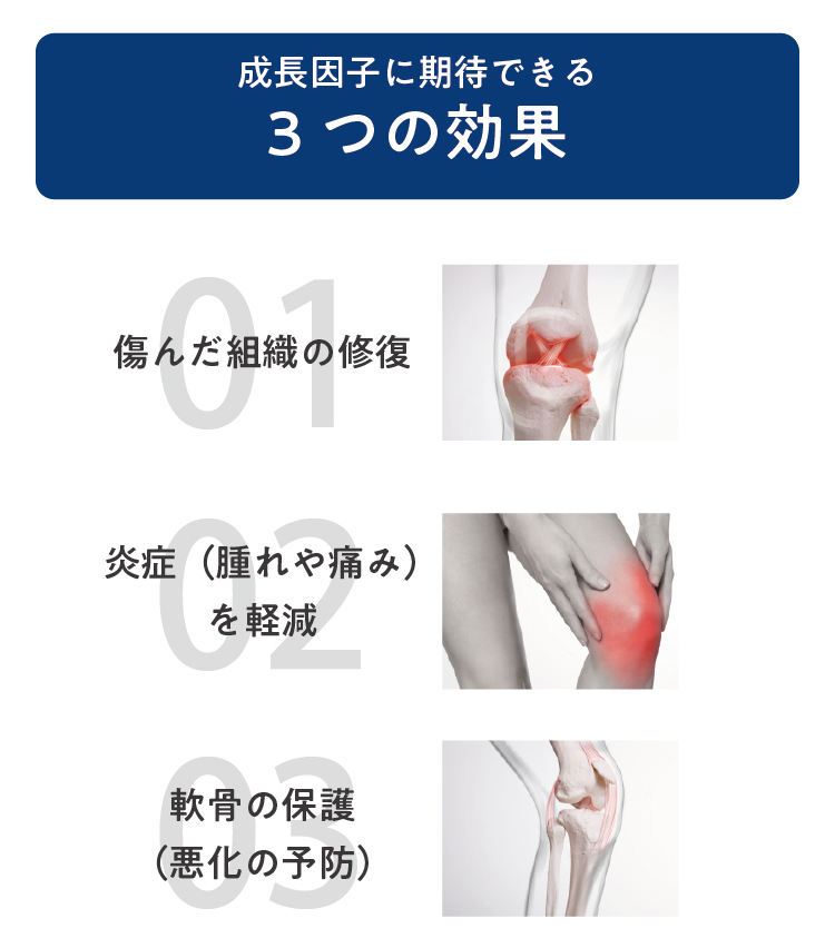 成長因子に期待できる2つの効果